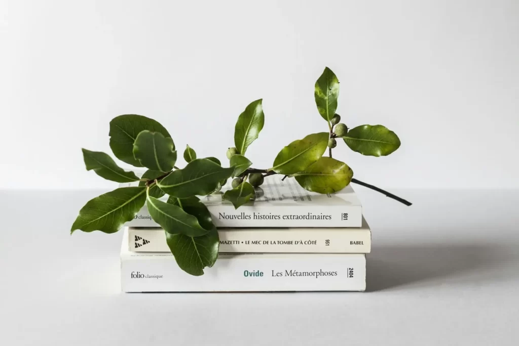نقش ابزارها در یادگیری عمیق