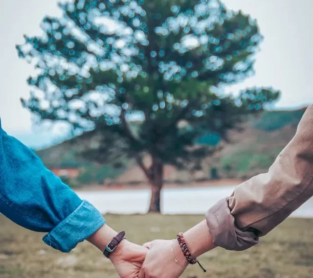 روج در فضای بهاری با رابطه سالم